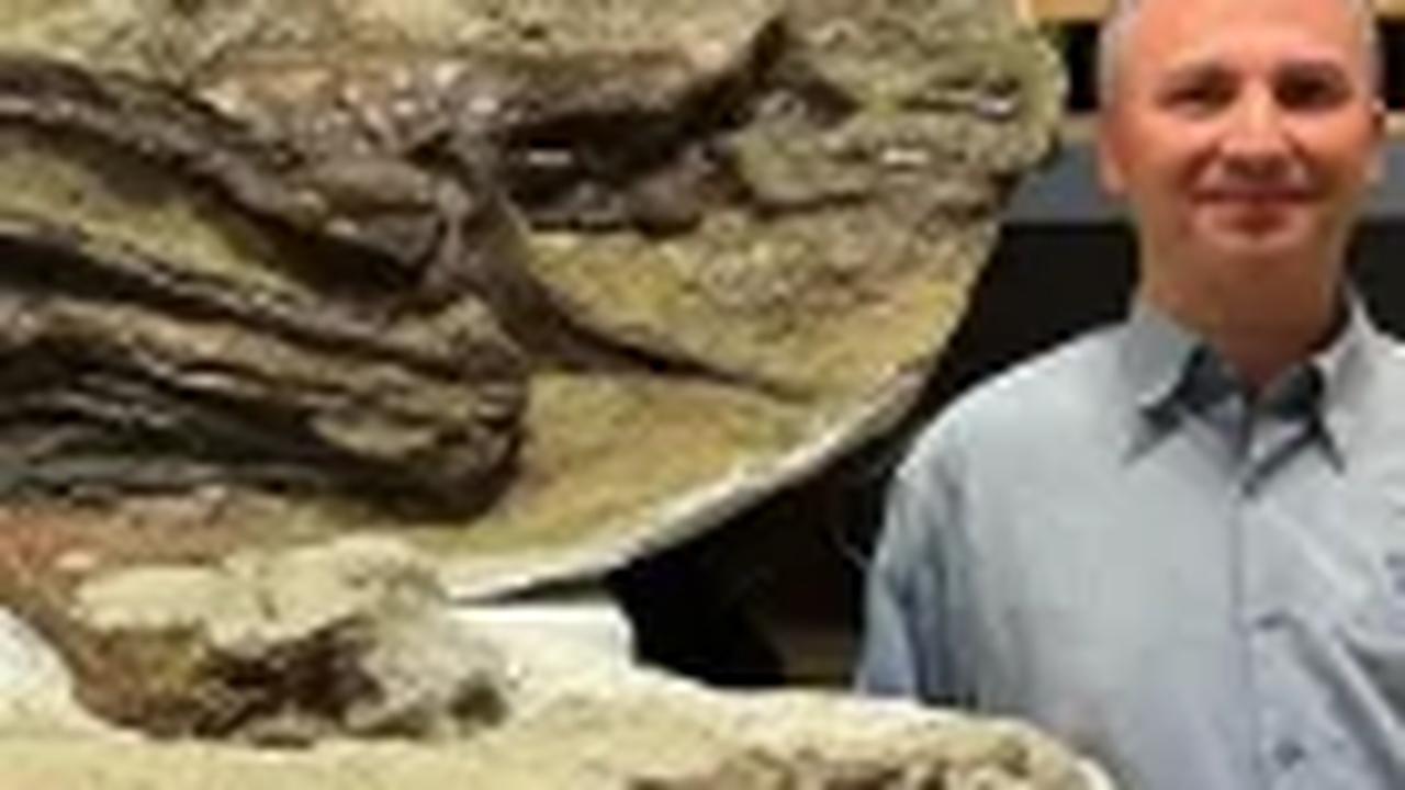 Ilmuan Temukan Makanan Terakhir di Dalam Perut Tyrannosaurus Berusia 75 Juta Tahun