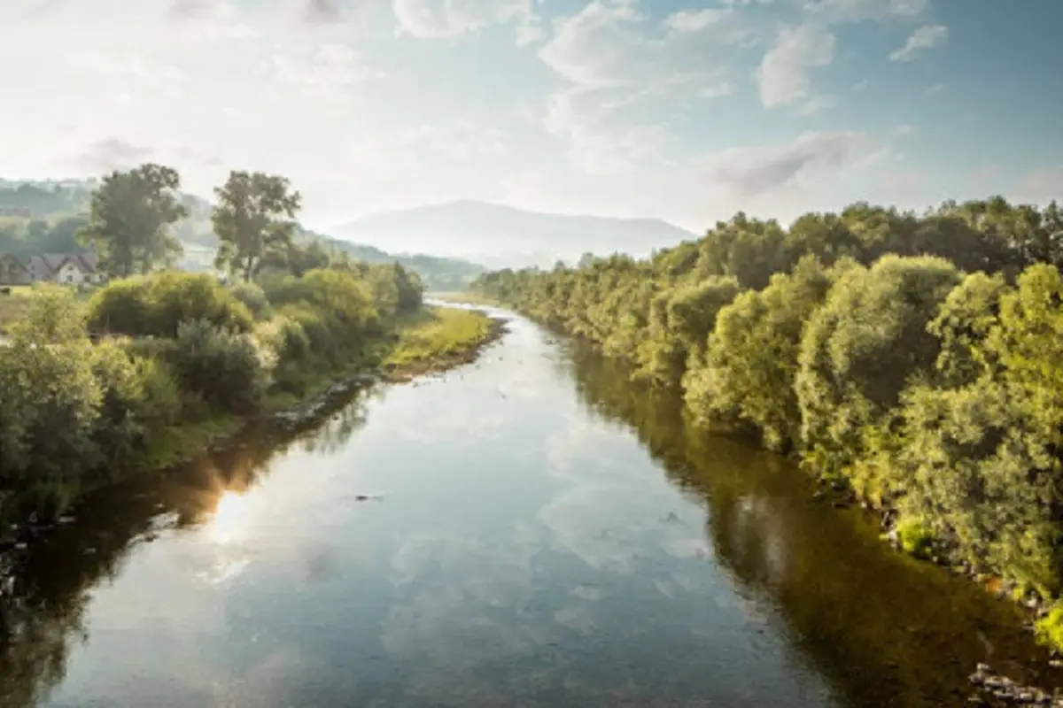 Ilustrasi sungai (iStock)