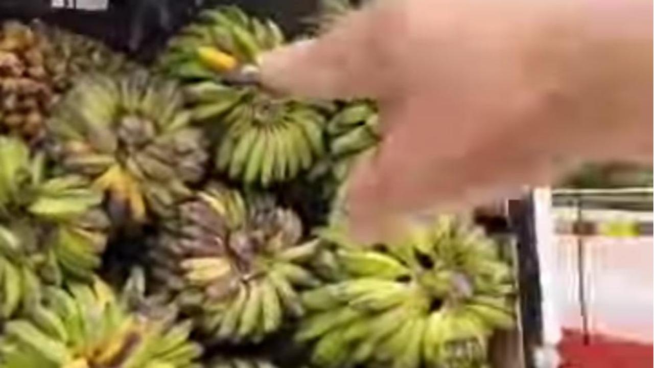 mobil angkut pisang dituding bawa sabu