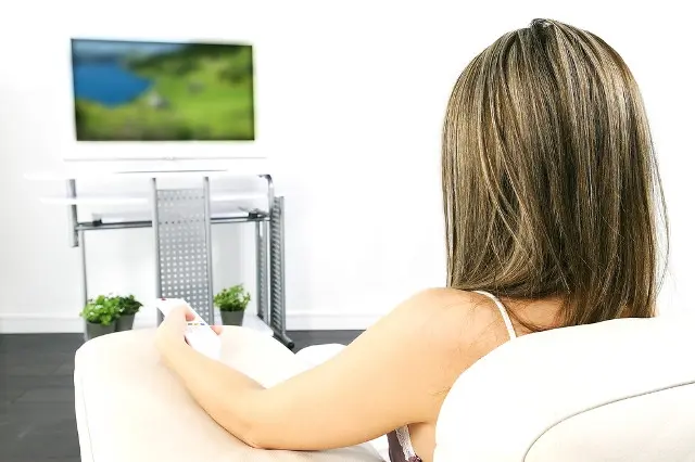TV layar datar dipilih karena kualitas gambarnya lebih bagus