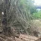 Kondisi memprihatikan jembatan Kali Lusi, akses jalan yang sering dilalui warga Desa Plosorejo, Kecamatan Banjarejo, Blora. (Liputan6.com/ Ahmad Adirin)