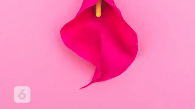 Vagina
