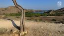 Pemandangan alam sebuah teluk di Pulau Rinca, Taman Nasional Komodo, NTT, Minggu (14/10). Titik tertinggi Pulau Rinca berada di Doro (Gunung) Ora, 670 m dpl. (Merdeka.com/Arie basuki)