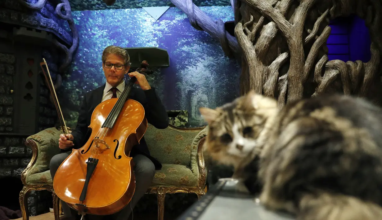 Komposer AS dan pemain cello, David Teie, memainkan salah satu lagu saat mempromosikan album Music For Cats di London, 18 Oktober 2016. Seperti diketahui, Teie memang tertarik pada penciptaan musik untuk spesies tertentu sejak 2009. (ADRIAN DENNIS/AFP)
