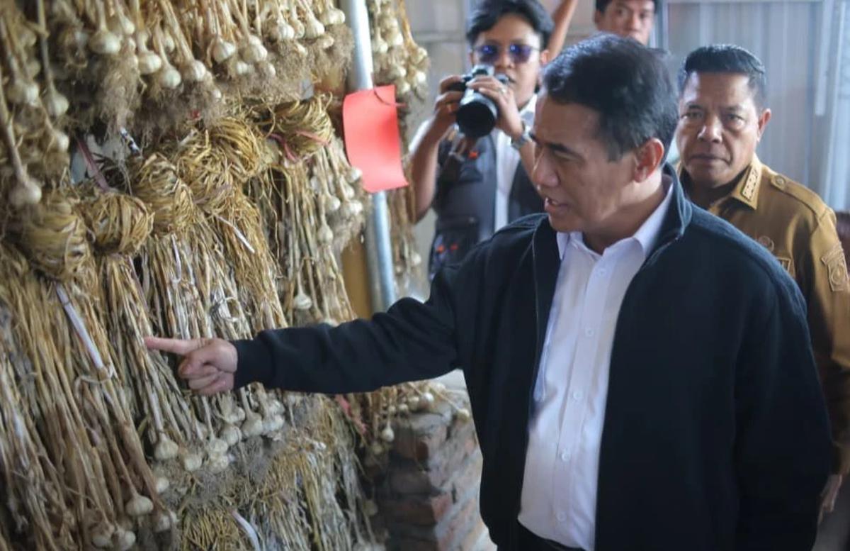 FOTO: NTB Diproyeksikan Jadi Pilar Jagung dan Bawang Putih Nasional