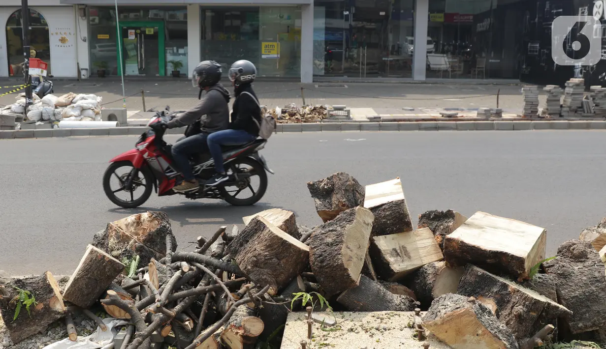 Pengendara melintas di depan sisa penebangan pohon yang masih terlihat di Kawasan Kemang, Jakarta, Sabtu (9/11/2019). Sejumlah pohon akan direvitalisasi dan ditebang karena beberapa alasan salah satunya, posisinya dianggap merusak saluran. (Liputan6.com/Helmi Fithriansyah)