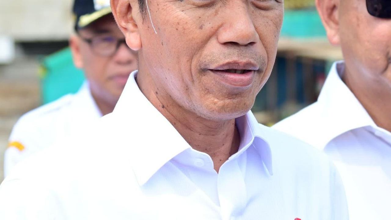 Jokowi soal Investor IKN: Satu Masuk, yang Lain Pasti Berbondong-Bondong Ikutan