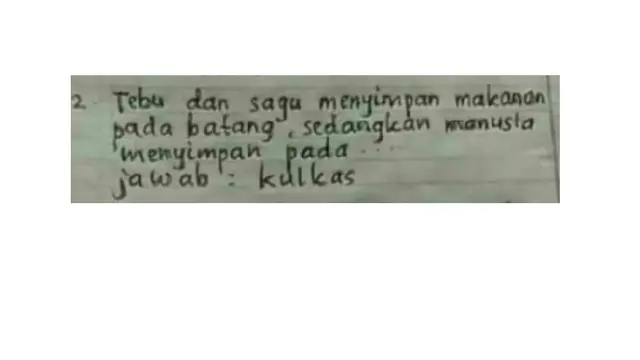 4 Jawaban Siswa SD Ini Bikin Kita Gagal Paham