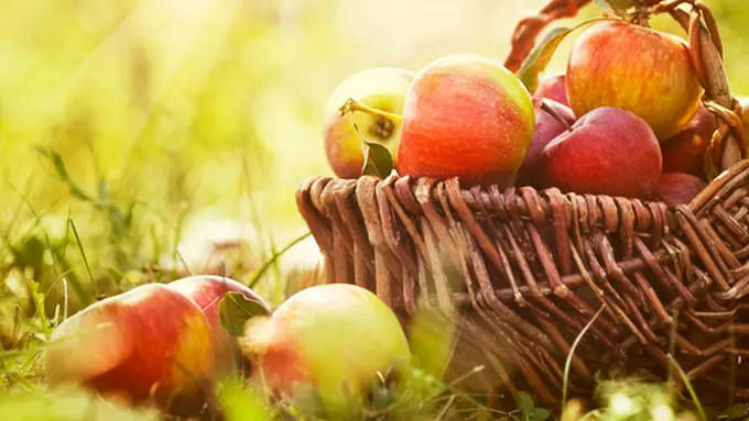 Courtesy ShutterStock.com