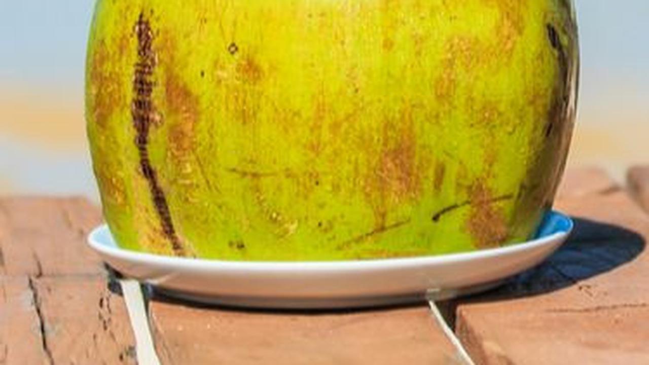 3. Cara Membuat Nata de Coco dari Air Kelapa Tanpa Urea<br>