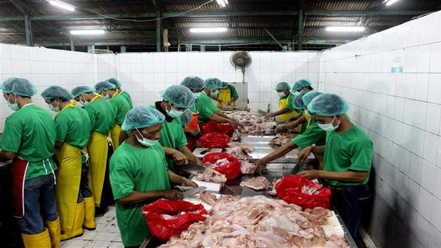 Melihat Proses Pemotongan Ayam Di Rumah Potong Hewan Unggas Health Liputan6 Com