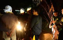 BKSDA Sumbar Tangkap Pelaku Perdagangan Satwa Dilindungi Tapir di Pasaman