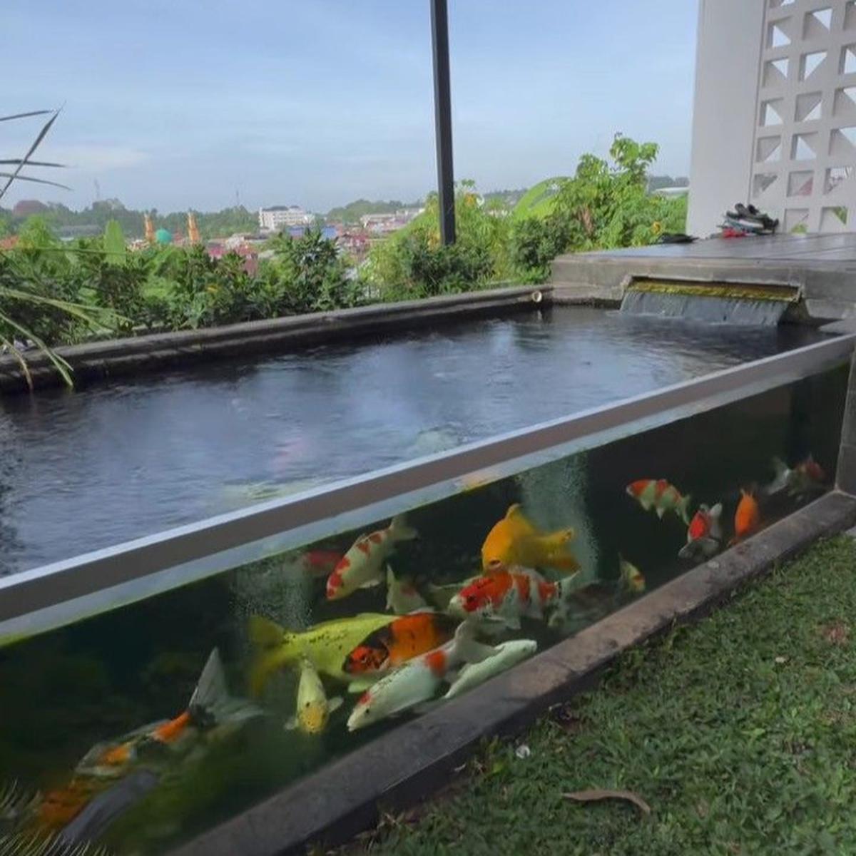 Ilustrasi Taman di Balkon dengan Aquarium (©Pinterest)