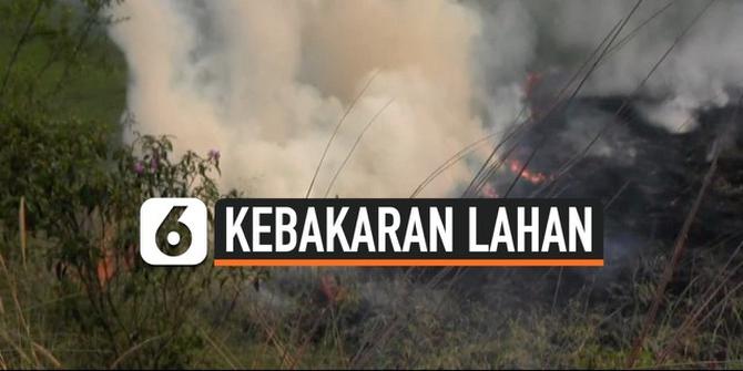 VIDEO: Kebakaran Lahan Gambut di Banyuasin Meluas