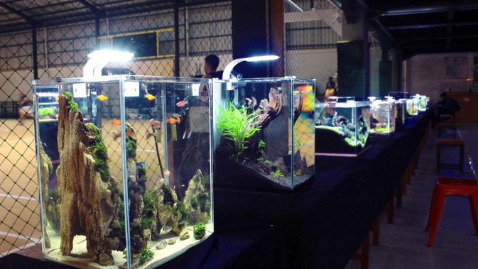 Aquascape Pemula Gorontalo (APG) saat menggelar pameran di Kota Gorontalo (Arfandi Ibrahim/Liputan6.com)