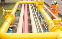 Kebijakan Harga Gas Murah Diperpanjang, Pengusaha: Hilirisasi Bakal Tumbuh dan Beri Tambahan Devisa ke Negara
