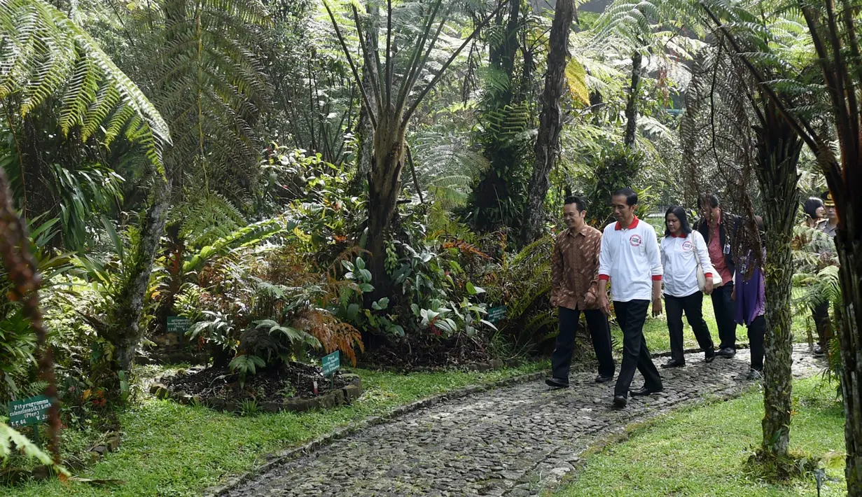 Presiden Jokowi bersama Ibu Iriana Jokowi mengunjungi Kebun Raya Cibodas, Jawa Barat, Minggu (26/6). (Foto: Setpres)