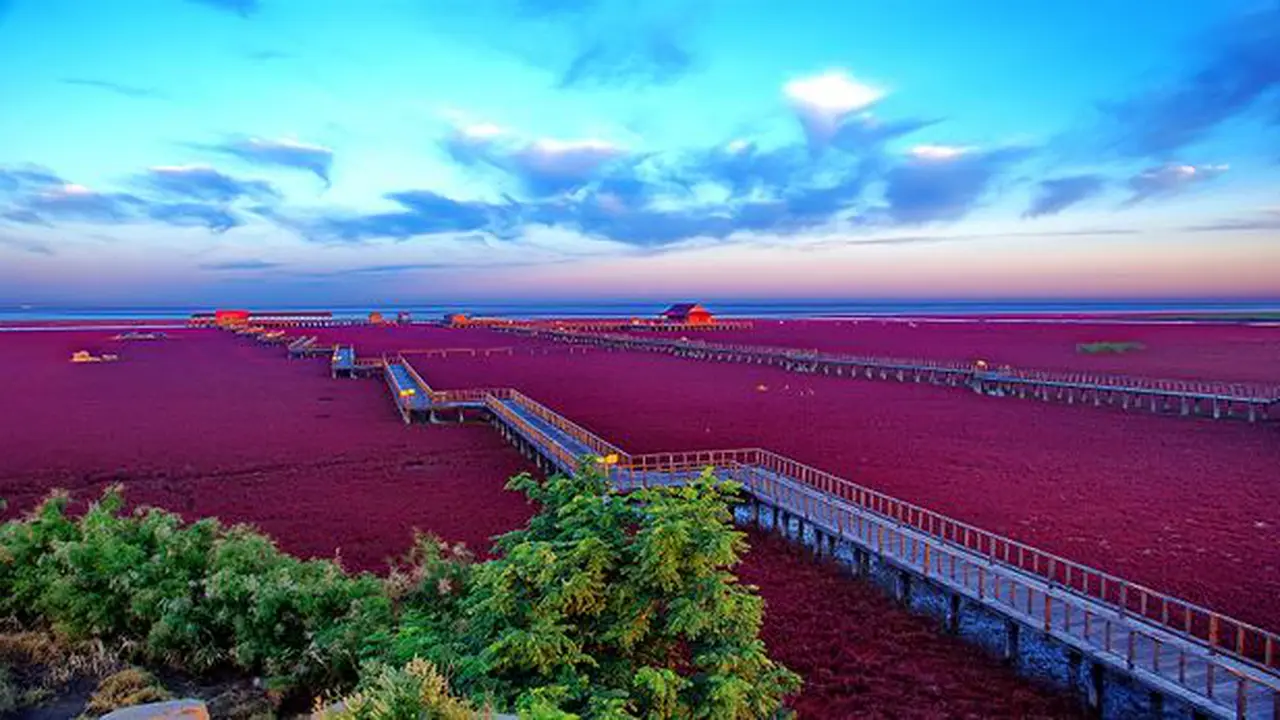 Red beach in China