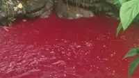 Pada 7 Agustus 2017, sungai Boh Bolon mendadak berwarna merah darah. Walaupun belum terbukti, sebagian warga mencurigai limbah industri sebagai biang permasalahan. (Sumber Facebook/Rodrigo Contreras Lopez))