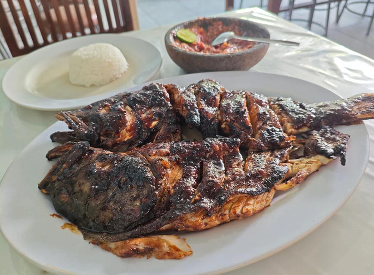 Ikan Laut vs Ikan Air Tawar, Mana yang Lebih Baik dan Bergizi?