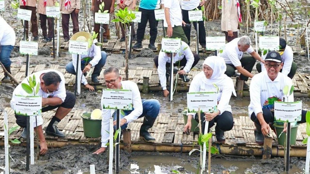 Jawa Timur Punya Lahan Mangrove Terluas di Jawa, Semen Indonesia Sukses Tanam 17.845 Bibit di Festival Mangrove Jatim