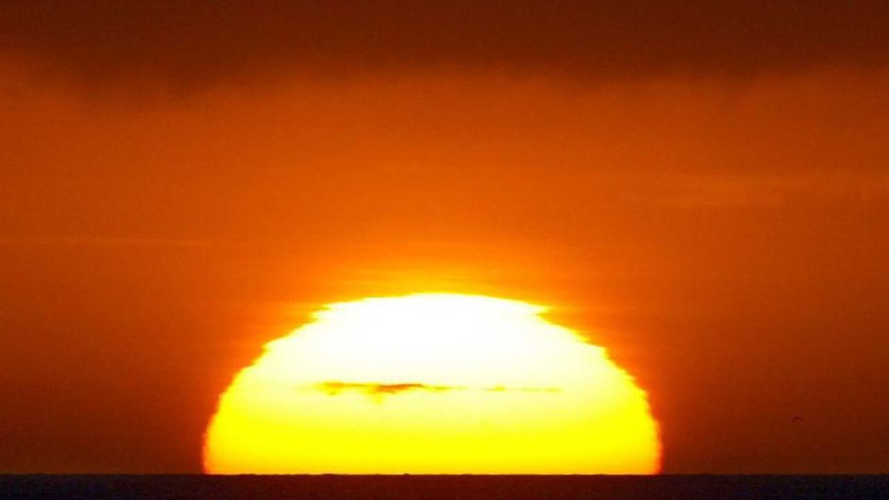 Suhu Capai 41 Derajat, Taman Nasional di Sydney Ditutup