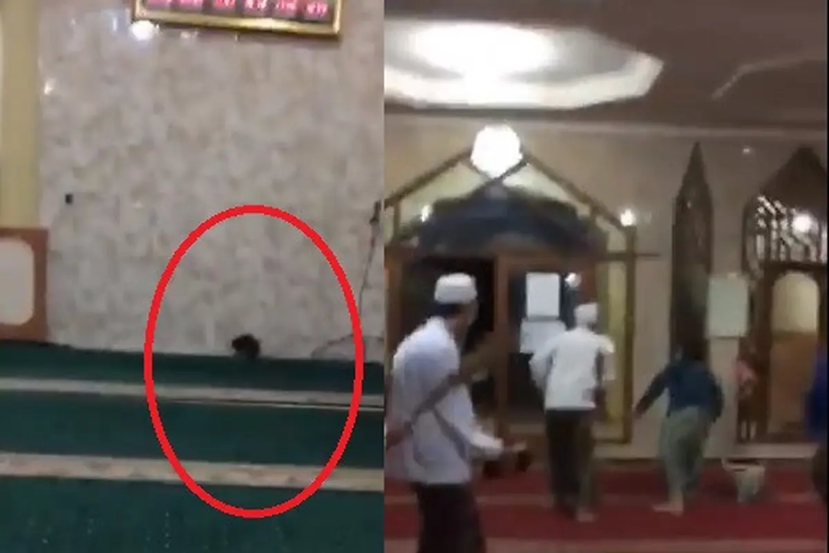 tikus di masjid