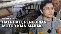 Hati-Hati, Pencurian Motor Kian Marak!