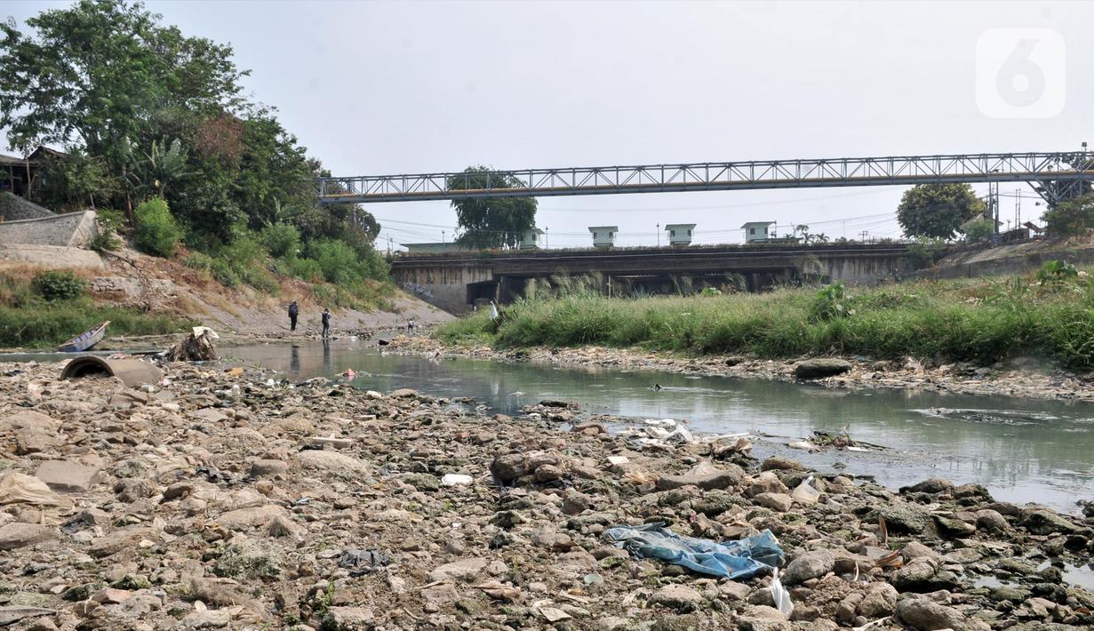 Pemandangan aliran Kali Bekasi yang menyurut di kawasan Margahayu, Bekasi, Jawa Barat, Selasa (8/10/2019). Menurunnya debit air mengakibatkan banyak ikan mati dan rawan tercemar limbah karena Kali Bekasi menjadi sumber air baku utama bagi PDAM Tirta Patriot. (merdeka.com/Iqbal Nugroho)