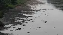 Pemandangan aliran Kanal Banjir Timur yang mengering. (merdeka.com/Imam Buhori)