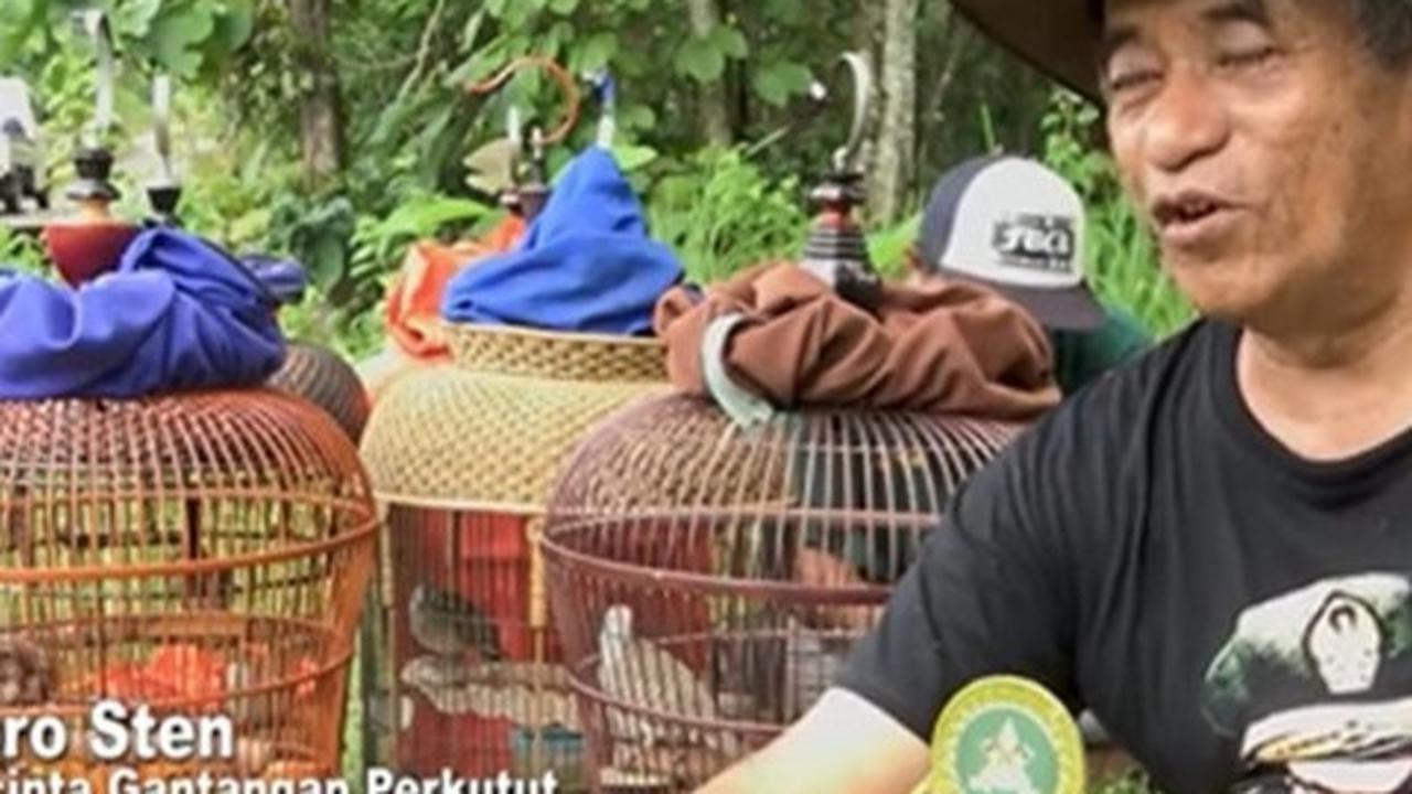 Pecinta burung perkutut di Boyolali