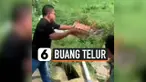 THUMBNAIL TELUR