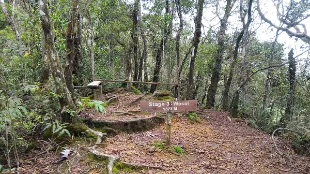 Jalur Pendakian Gunung Nungkok di Malaysia. (Dok: https://www.gunungbagging.com/nungkok/nggallery/page/2)