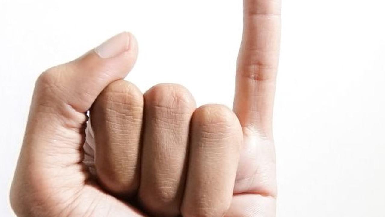 Sejarah Quick Count di Indonesia, Mainkan Peran Penting dalam Proses Pemilu