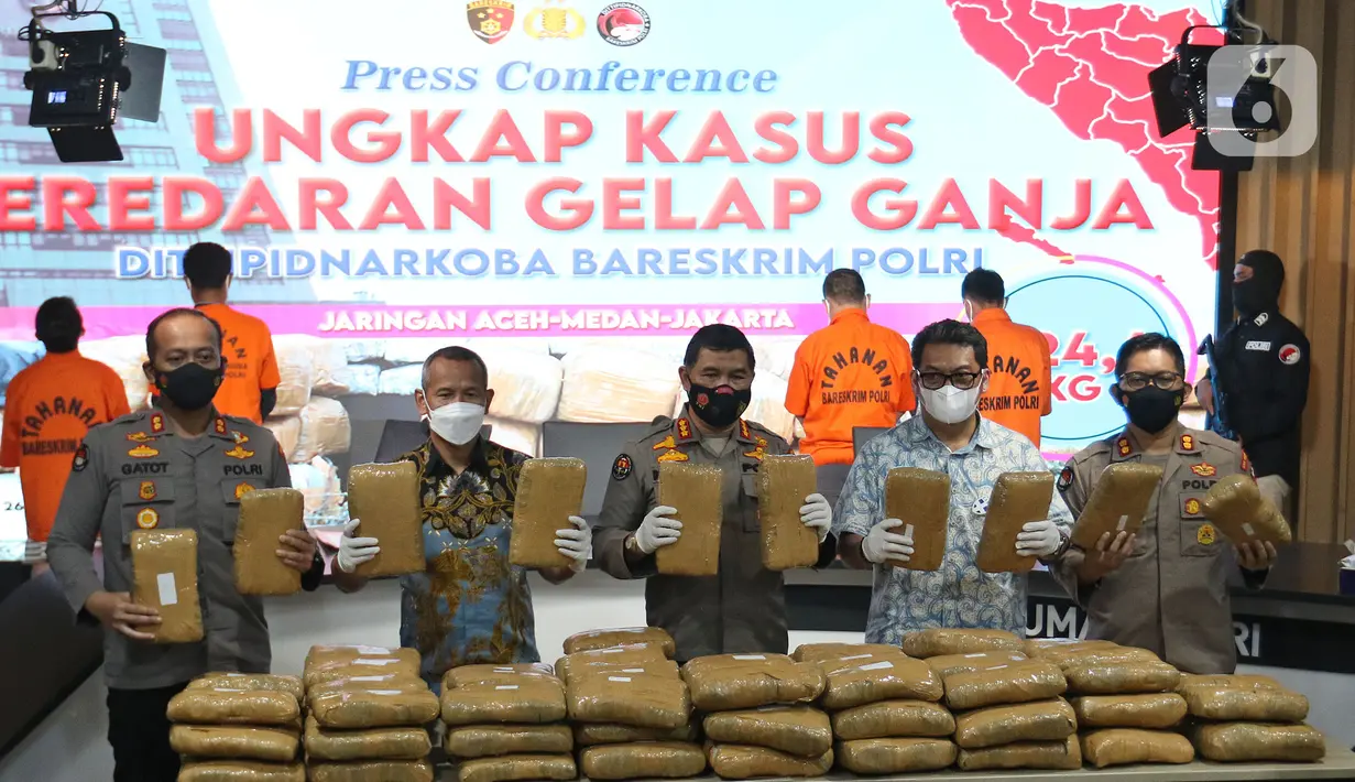 Kabagpenum Divisi Humas Polri Kombes Pol Ahmad Ramadhan (tengah) bersama Wakil Dirtipid Narkoba Bareskrim Polri Kombes Jayadi (kiri) menunjukkan barang bukti ganja di Gedung Divisi Humas Polri, Jakarta, Jumat (26/11/2021). (Liputan6.com/Herman Zakharia)