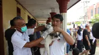 Para pecinta hewan di Kota Medan, Sumatera Utara (Sumut) berbondong-bondong datang ke lokasi vaksinasi rabies di Komplek Polri, Jalan Flamboyan, Lingkungan IV, Kelurahan Tanjung Selamat, Kecamatan Medan Tuntungan