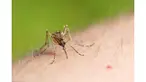 Setelah Brasil, Kolombia, El Salavador, dan Amerika Serikat, kini ditemukan kasus virus Zika di Inggris. Ada tiga pelancong Inggris yang didiagnosis terinfeksi virus Zika usai mengunjungi Kolombia, Suriname, dan Guyana.