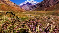 The best places to visit in Argentina. (Photo: Nicolas Perez/Unsplash)