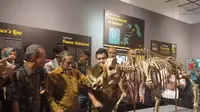 Museum Geologi pamerkan fosil fauna endemik Sulawesi yang terpendam sejak lama dari lembah Walanae. (Dok. Badan Geologi/Huyogo Simbolon)