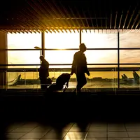 Tes PCR tak lagi wajib untuk syarat naik pesawat Jawa-Bali. (pexels/skitterphoto).