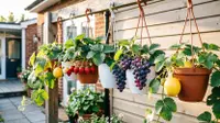 Tanaman Buah Gantung yang Cocok untuk Ibu-Ibu Hobi Berkebun, Cantik dan Mudah Dirawat