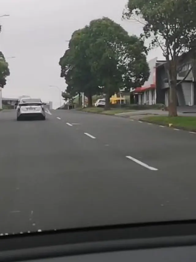Viral Mobil Berpelat Jokowi di Selandia Baru, Ini Penjelasan Tantowi Yahya