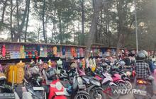 Penataan Pantai Bengkulu: Pemkot Genjot Pariwisata dan Dongkrak PAD hingga Rp416 Miliar