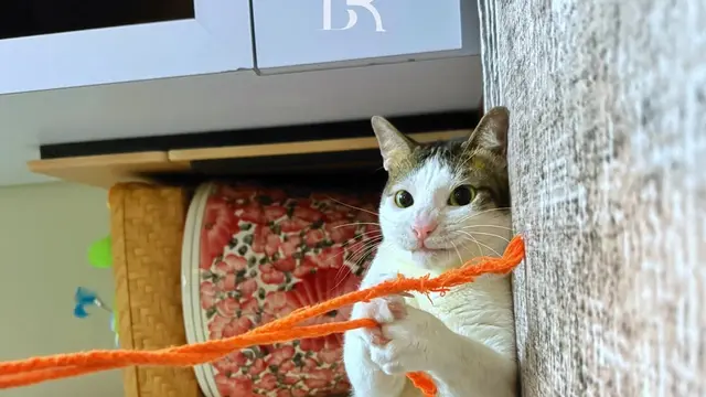 Bobby Kertanegara bermain tali/Instagram Bobby Kertanegara