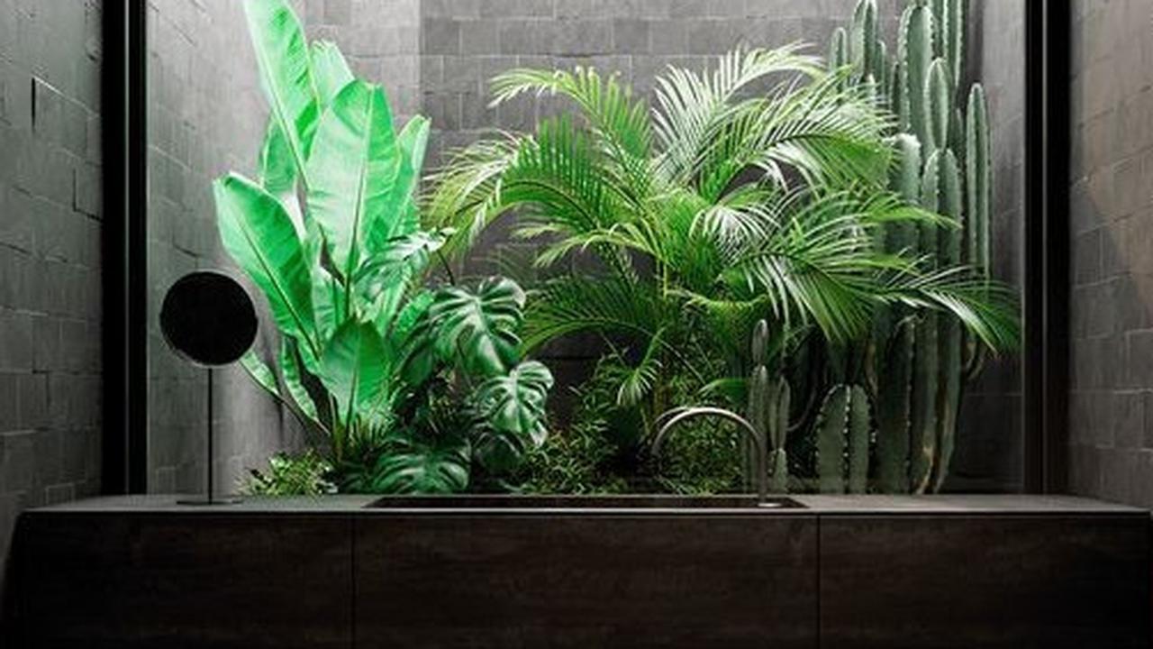 Tips Membuat Taman dalam Rumah yang Estetik dan Tidak Berantakan