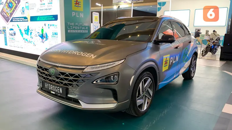 Hyundai Nexo di PEVS 2024