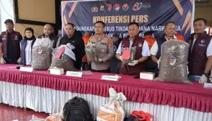 38 Kilogram Ganja dan 169 Pohon Disita di Papua