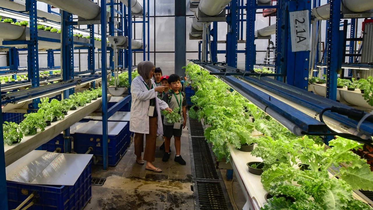 FOTO: Belajar Hidroponik di Kebun Vertikal Tertinggi di Indonesia