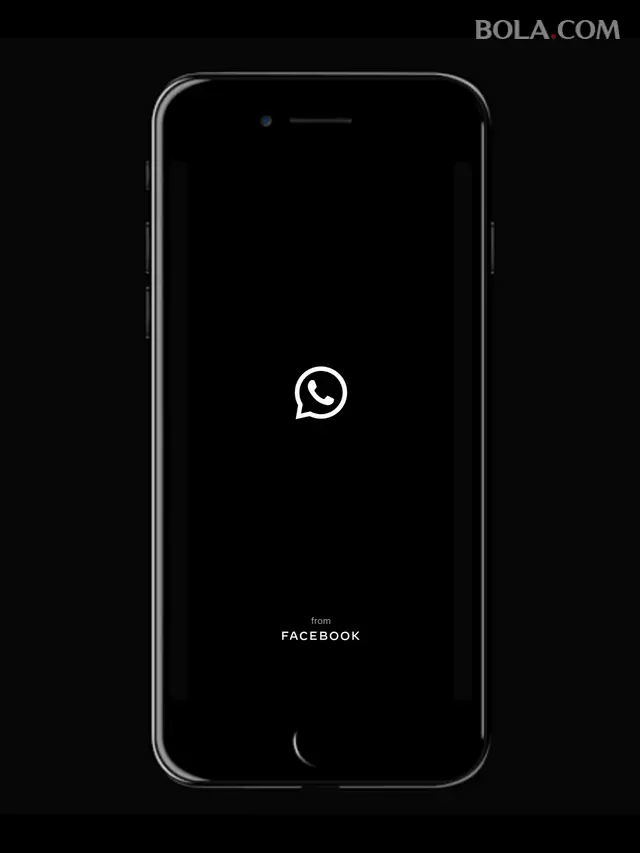 Ilustrasi WhatsApp, Aplikasi WhatsApp