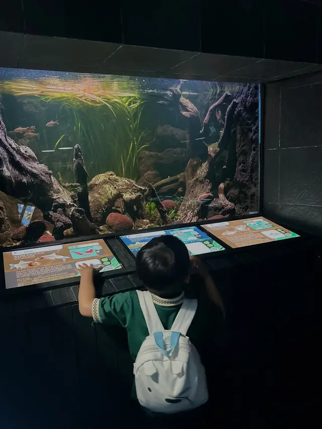 Aquarium Air Tawar TMII
